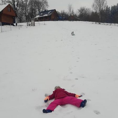 Przytulne Na Poddaszu Jelenia Gora Dış mekan fotoğraf