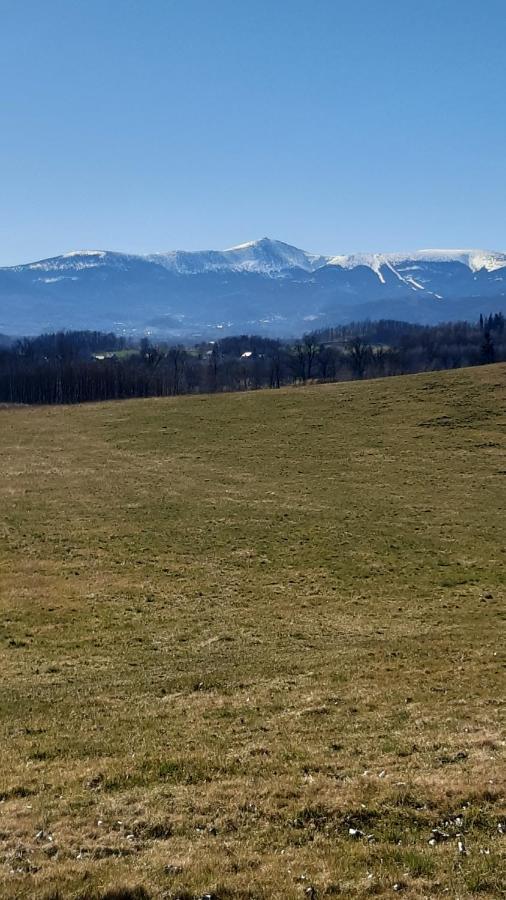 Przytulne Na Poddaszu Jelenia Gora Dış mekan fotoğraf