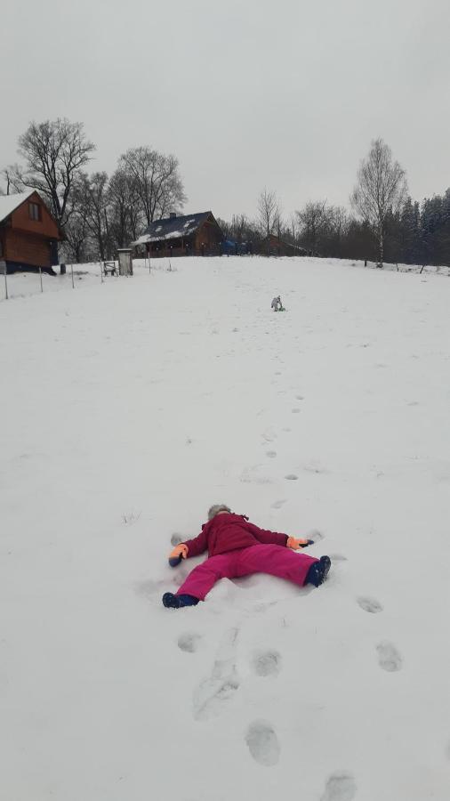 Przytulne Na Poddaszu Jelenia Gora Dış mekan fotoğraf